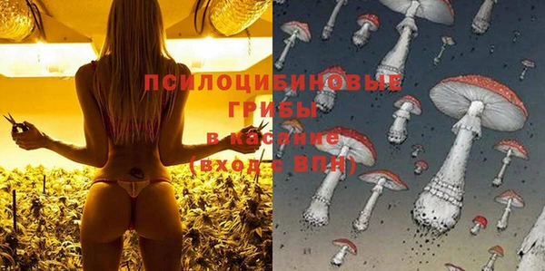 героин Алзамай